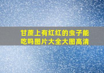 甘蔗上有红红的虫子能吃吗图片大全大图高清