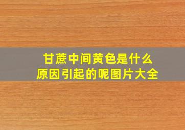 甘蔗中间黄色是什么原因引起的呢图片大全