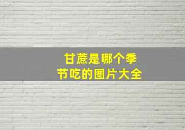 甘蔗是哪个季节吃的图片大全