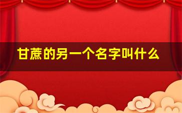 甘蔗的另一个名字叫什么