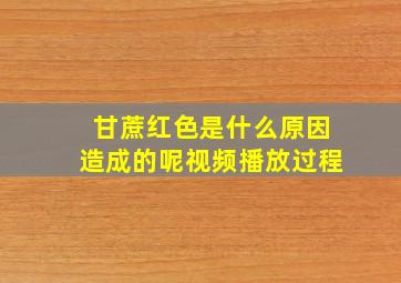 甘蔗红色是什么原因造成的呢视频播放过程