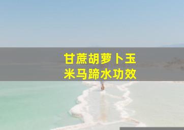 甘蔗胡萝卜玉米马蹄水功效