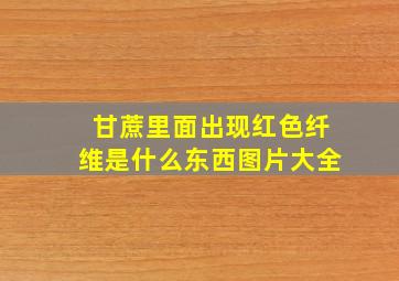 甘蔗里面出现红色纤维是什么东西图片大全