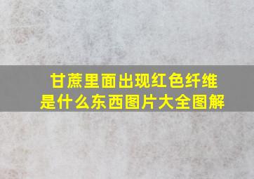 甘蔗里面出现红色纤维是什么东西图片大全图解