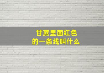 甘蔗里面红色的一条线叫什么