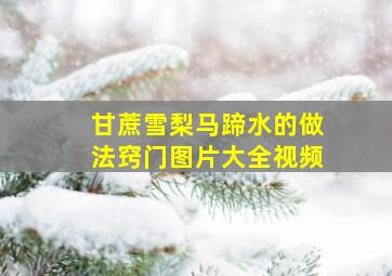 甘蔗雪梨马蹄水的做法窍门图片大全视频