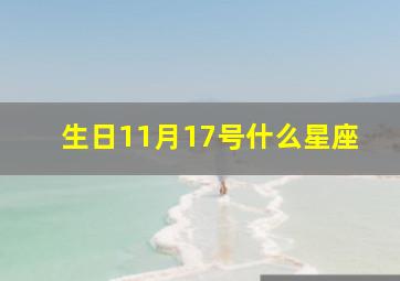 生日11月17号什么星座