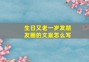 生日又老一岁发朋友圈的文案怎么写