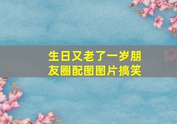 生日又老了一岁朋友圈配图图片搞笑