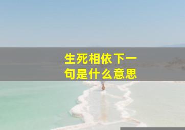 生死相依下一句是什么意思