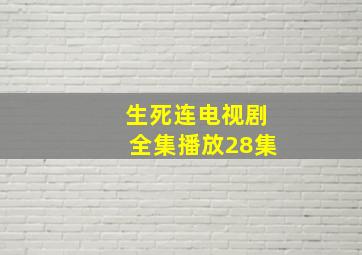 生死连电视剧全集播放28集