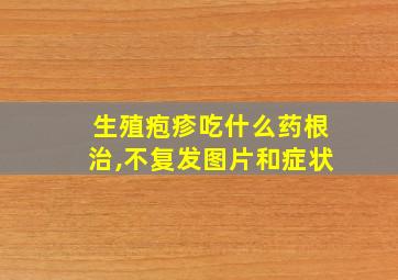 生殖疱疹吃什么药根治,不复发图片和症状