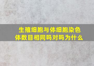 生殖细胞与体细胞染色体数目相同吗对吗为什么