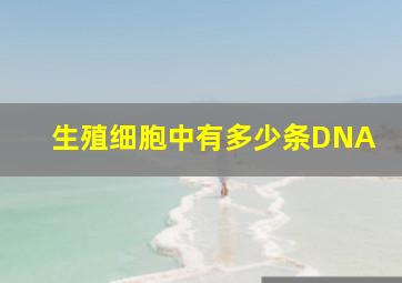 生殖细胞中有多少条DNA