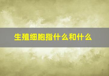 生殖细胞指什么和什么