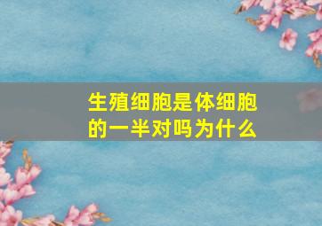 生殖细胞是体细胞的一半对吗为什么