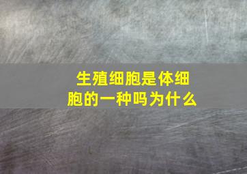 生殖细胞是体细胞的一种吗为什么