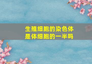 生殖细胞的染色体是体细胞的一半吗