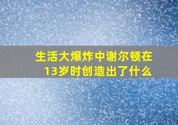 生活大爆炸中谢尔顿在13岁时创造出了什么