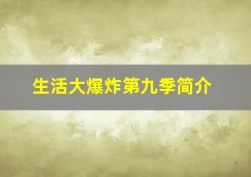 生活大爆炸第九季简介