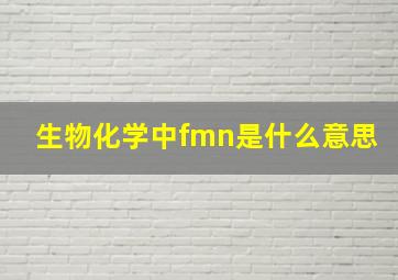 生物化学中fmn是什么意思