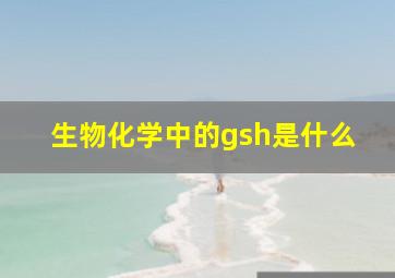 生物化学中的gsh是什么