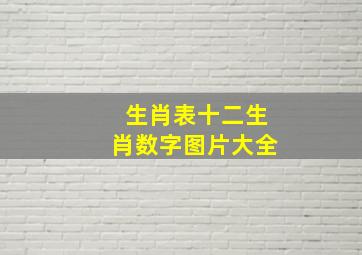 生肖表十二生肖数字图片大全