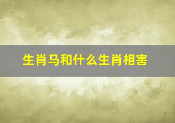 生肖马和什么生肖相害