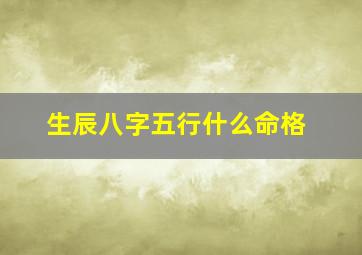 生辰八字五行什么命格