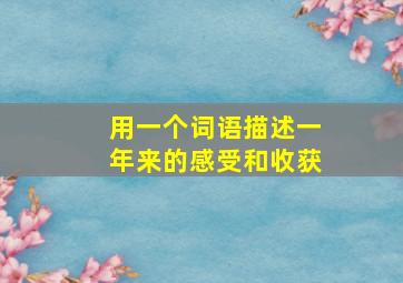 用一个词语描述一年来的感受和收获