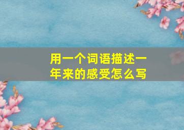 用一个词语描述一年来的感受怎么写