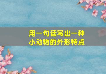 用一句话写出一种小动物的外形特点