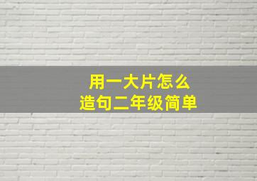 用一大片怎么造句二年级简单