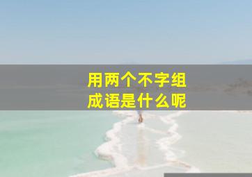 用两个不字组成语是什么呢