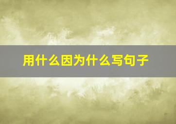 用什么因为什么写句子