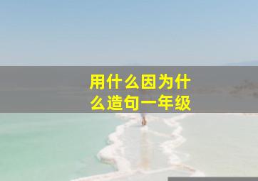 用什么因为什么造句一年级