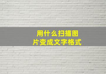 用什么扫描图片变成文字格式