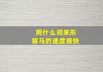 用什么词来形容马的速度很快