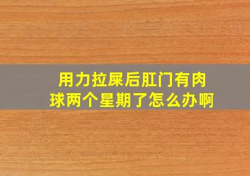 用力拉屎后肛门有肉球两个星期了怎么办啊