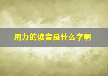 用力的读音是什么字啊