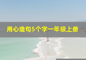 用心造句5个字一年级上册