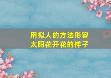 用拟人的方法形容太阳花开花的样子