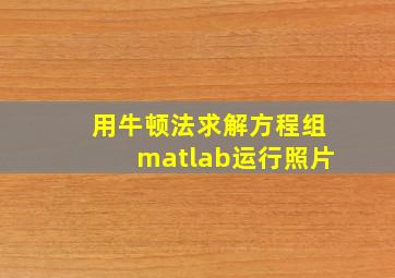 用牛顿法求解方程组matlab运行照片