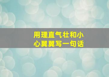 用理直气壮和小心翼翼写一句话