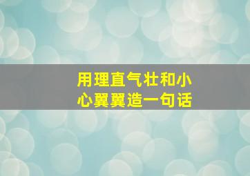 用理直气壮和小心翼翼造一句话