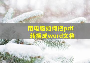 用电脑如何把pdf转换成word文档