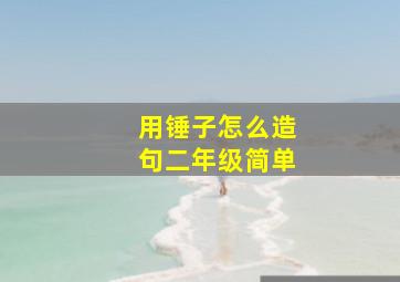 用锤子怎么造句二年级简单