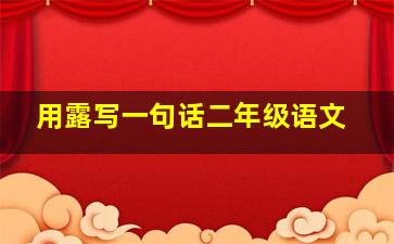 用露写一句话二年级语文