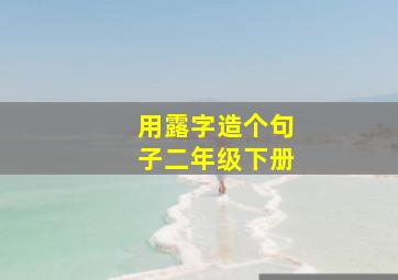 用露字造个句子二年级下册