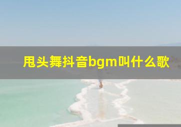 甩头舞抖音bgm叫什么歌